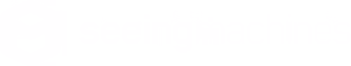 Seeing Machines